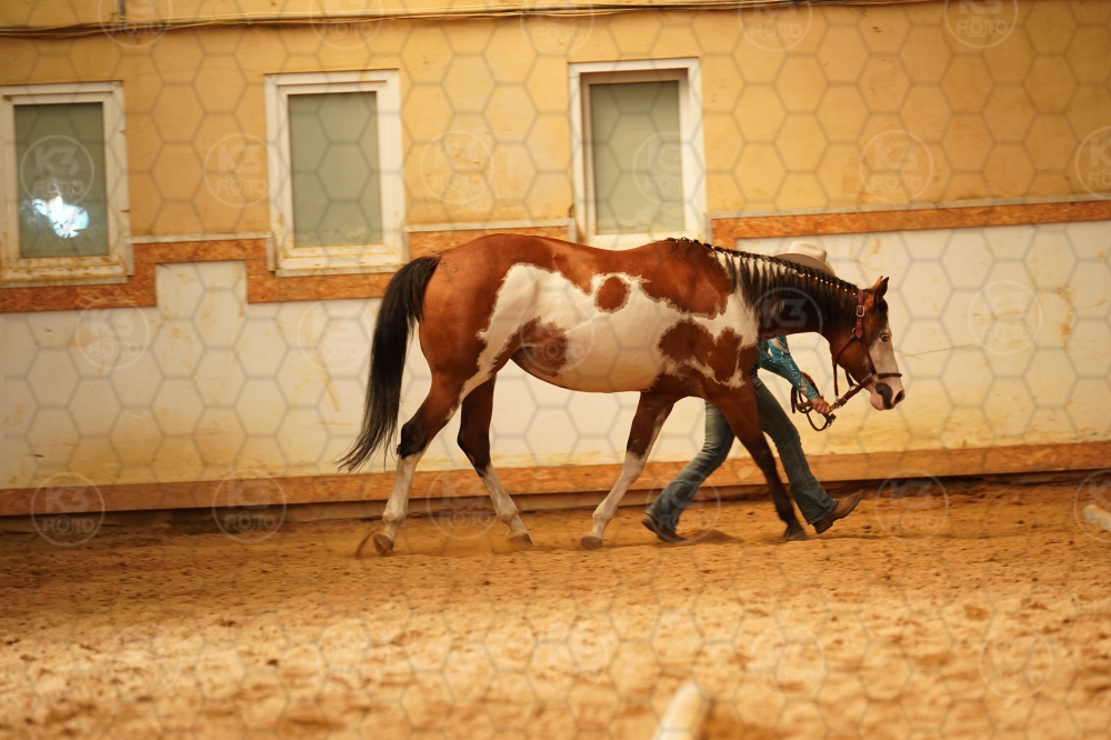 s_A9_07927.jpg